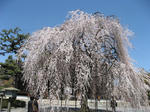 s2004.jpg
