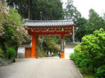 s1011.jpg