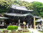 s3019.jpg