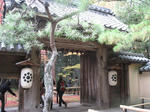 s2051.jpg