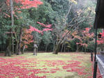 s6021.jpg