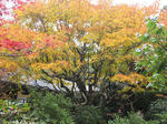 s8027.jpg