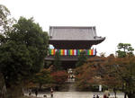 sh039.jpg