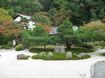 sh010.jpg