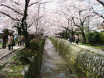 s2008.jpg