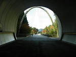 s4019.jpg