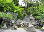 s3009.jpg