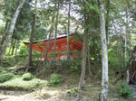 s5017.jpg