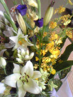 Image12521.jpg