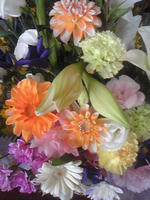 Image1247.jpg
