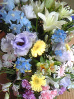 Image1253.jpg