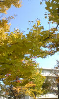 Image1329.jpg