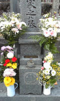 Image1387.jpg
