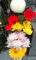 Image1385.jpg