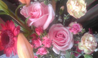 Image2103.jpg