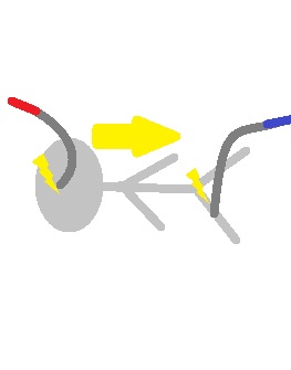 通電センサーが銀被災者を襲う!(被災者は旧型のものです)