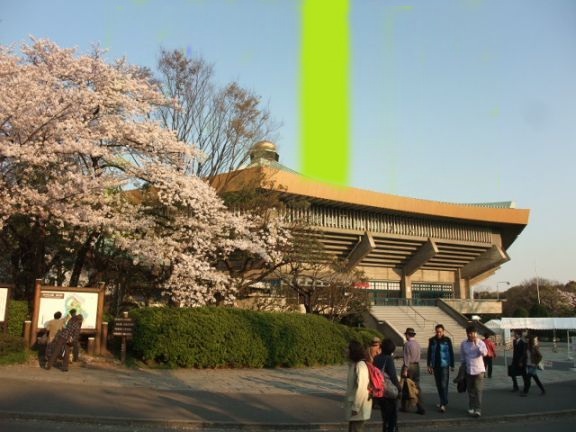 高さ1000mの立ち入り禁止フェンスです。屋根突き破っちゃってますよ(笑)
