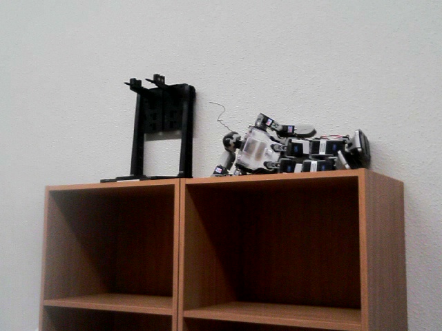 NEETしてるKHRクンです。毎日ポーズが変わるよ!