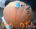 DSCF0216.JPG