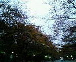 200711291636000.JPG