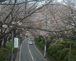 DSCF0227.JPG