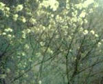 DVC10119_M.JPG