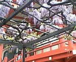080424_154946_M.JPG
