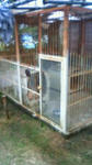 200809151644000.JPG