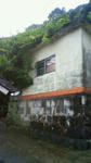 200809151710002.JPG