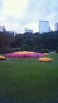 200811041603000.JPG