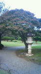 200811041615000.JPG