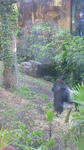 NEC_05891.JPG