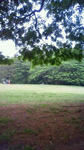 NEC_05991.JPG