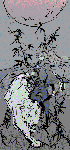 9.gif