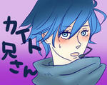 kaito.jpg