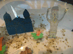 2-28-09.gif