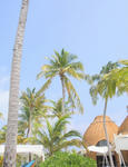 Maldives1.jpg