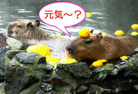 DSC00002.jpg