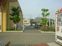 SN3D0100.jpg