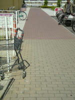 SN3D0216.jpg