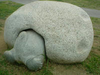 SN3D0350.jpg