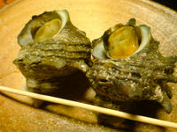 SN3D0483.jpg
