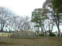 SN3D0525.jpg