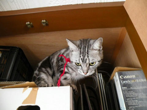 dscn5305.jpg