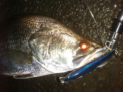 P1000001.JPG