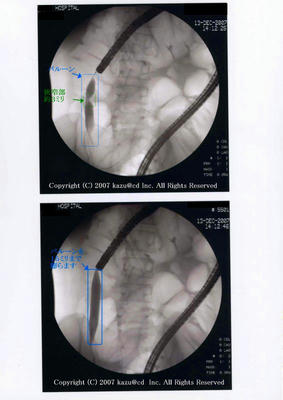 s-img013~1.jpg