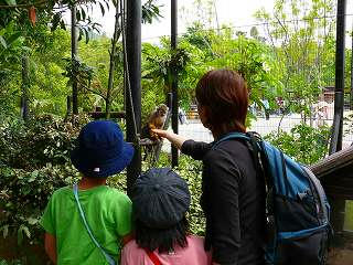 tokusimazoo.jpg