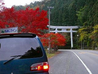2007kouyou.jpg