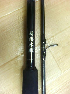 s-200800100hs2.jpg