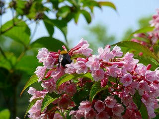 s-20080427002.jpg